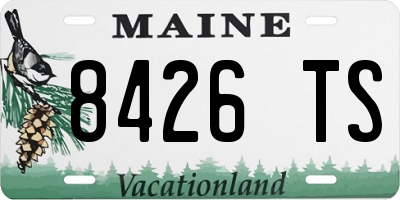 ME license plate 8426TS