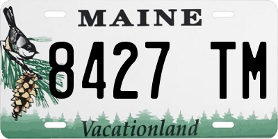 ME license plate 8427TM