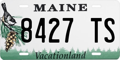 ME license plate 8427TS