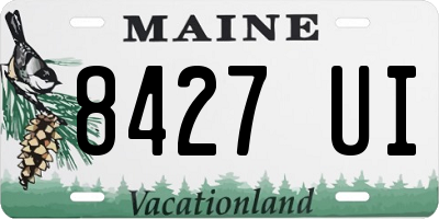 ME license plate 8427UI