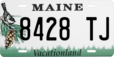 ME license plate 8428TJ