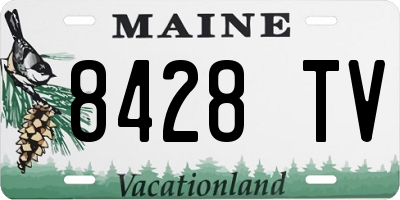 ME license plate 8428TV