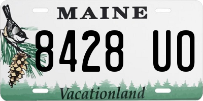 ME license plate 8428UO