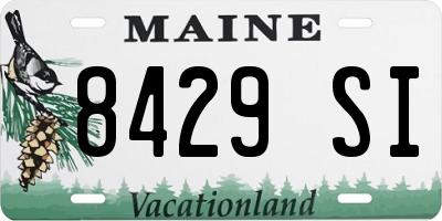 ME license plate 8429SI