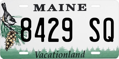 ME license plate 8429SQ