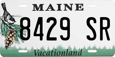 ME license plate 8429SR