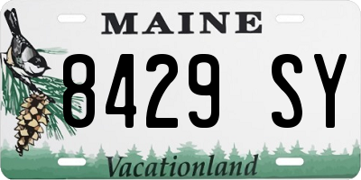 ME license plate 8429SY