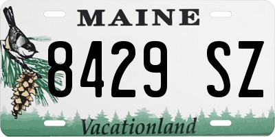 ME license plate 8429SZ