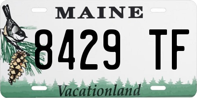 ME license plate 8429TF
