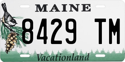 ME license plate 8429TM