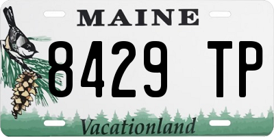ME license plate 8429TP