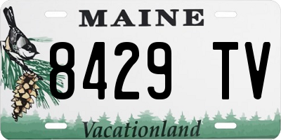ME license plate 8429TV