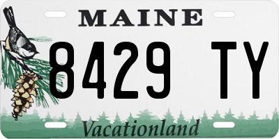 ME license plate 8429TY