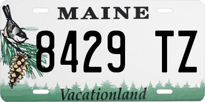 ME license plate 8429TZ