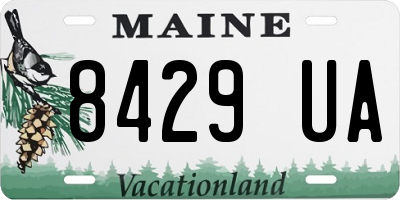 ME license plate 8429UA