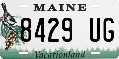 ME license plate 8429UG