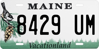ME license plate 8429UM