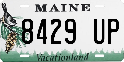 ME license plate 8429UP
