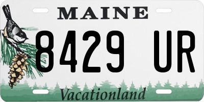 ME license plate 8429UR