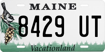 ME license plate 8429UT