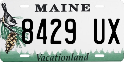 ME license plate 8429UX