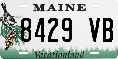 ME license plate 8429VB