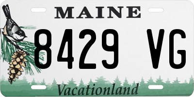 ME license plate 8429VG