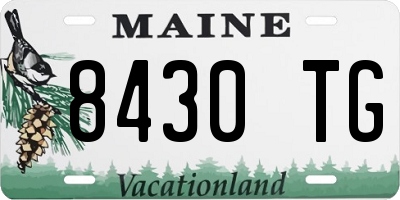 ME license plate 8430TG