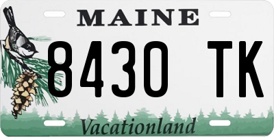 ME license plate 8430TK