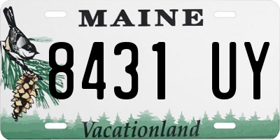 ME license plate 8431UY