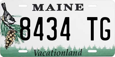 ME license plate 8434TG
