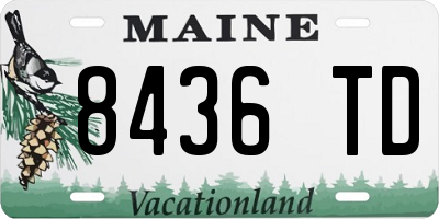 ME license plate 8436TD