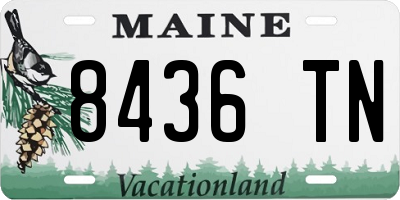 ME license plate 8436TN