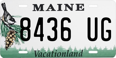 ME license plate 8436UG