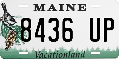 ME license plate 8436UP