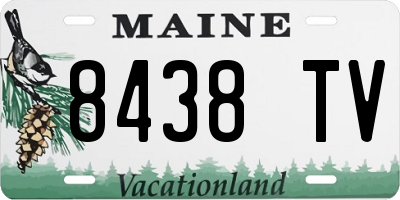 ME license plate 8438TV