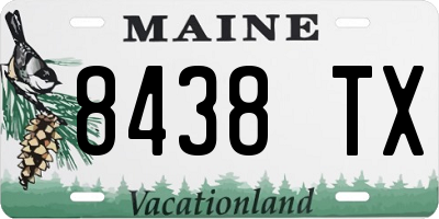 ME license plate 8438TX