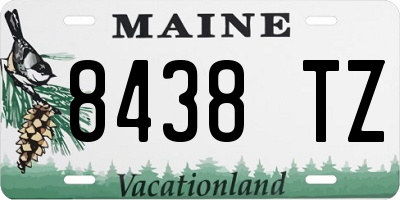 ME license plate 8438TZ