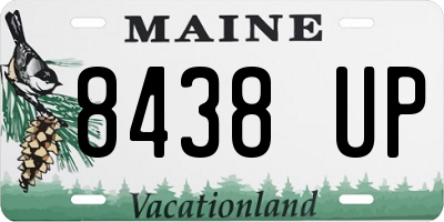 ME license plate 8438UP