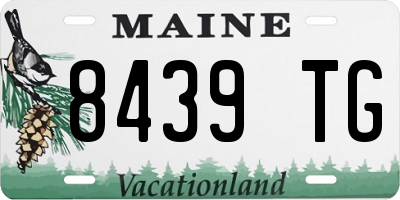 ME license plate 8439TG