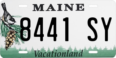 ME license plate 8441SY