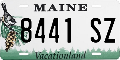 ME license plate 8441SZ