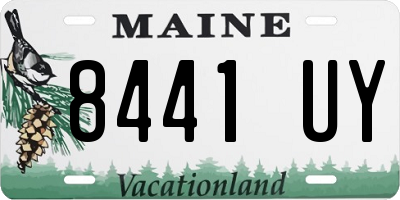 ME license plate 8441UY