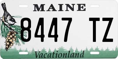 ME license plate 8447TZ