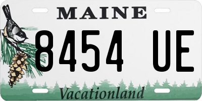 ME license plate 8454UE