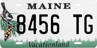 ME license plate 8456TG