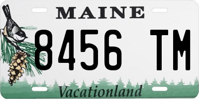 ME license plate 8456TM