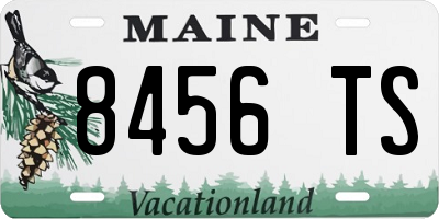ME license plate 8456TS