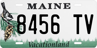 ME license plate 8456TV
