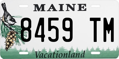 ME license plate 8459TM